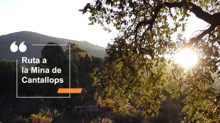 Rutas de Senderismo Urbano en Nalda