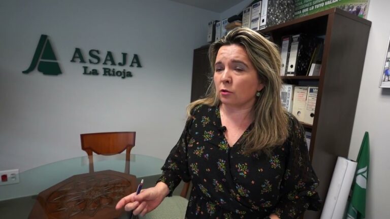 Guía para Obtener Ayuda Familiar en Fuenmayor