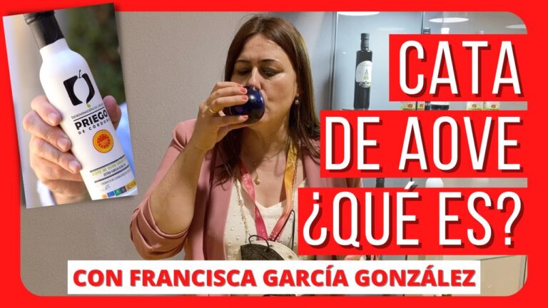 Catas de Aceite en Navarrete: Guía de los Mejores Lugares