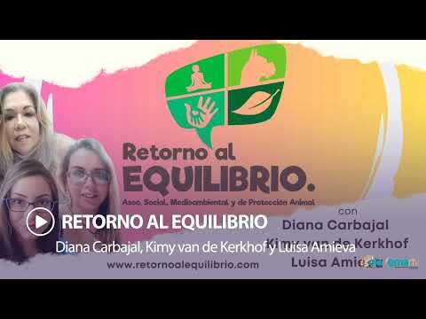 Opciones de Voluntariado en Navarrete
