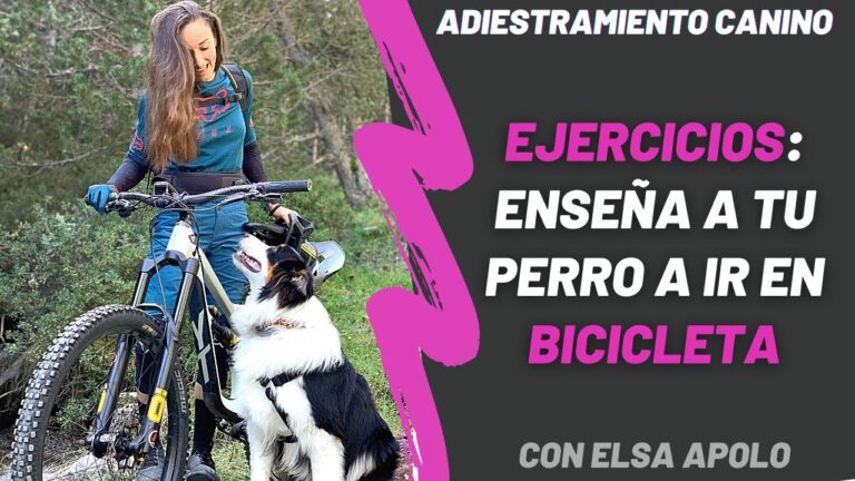 Senderismo con Perros en Entrena: Mejores Rutas y Consejos