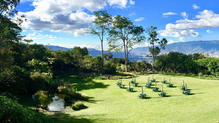 Jardines Bot&aacute;nicos en Fuenmayor: Gu&iacute;a de Ubicaci&oacute;n
